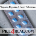 Черная Муравей Секс Таблетки viagra3